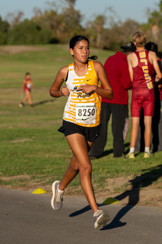 XC moore league
