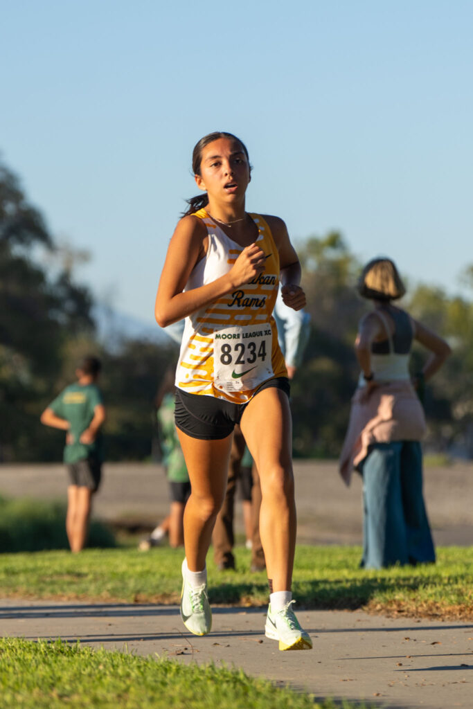 XC moore league