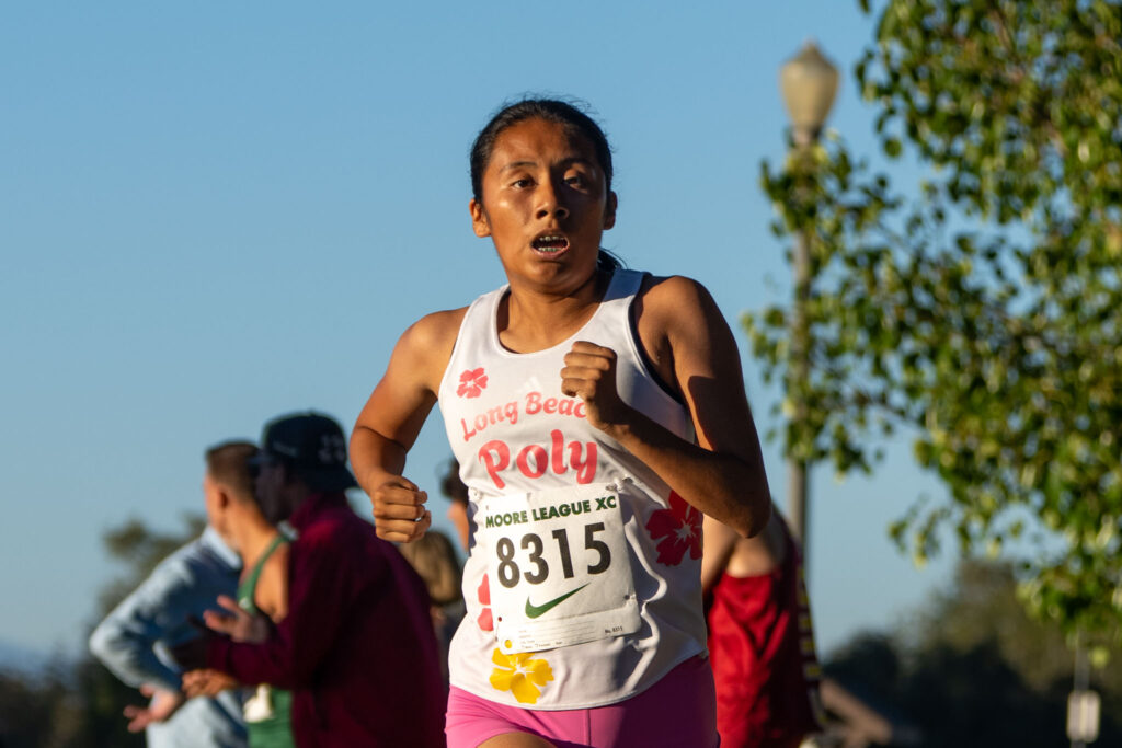 XC moore league
