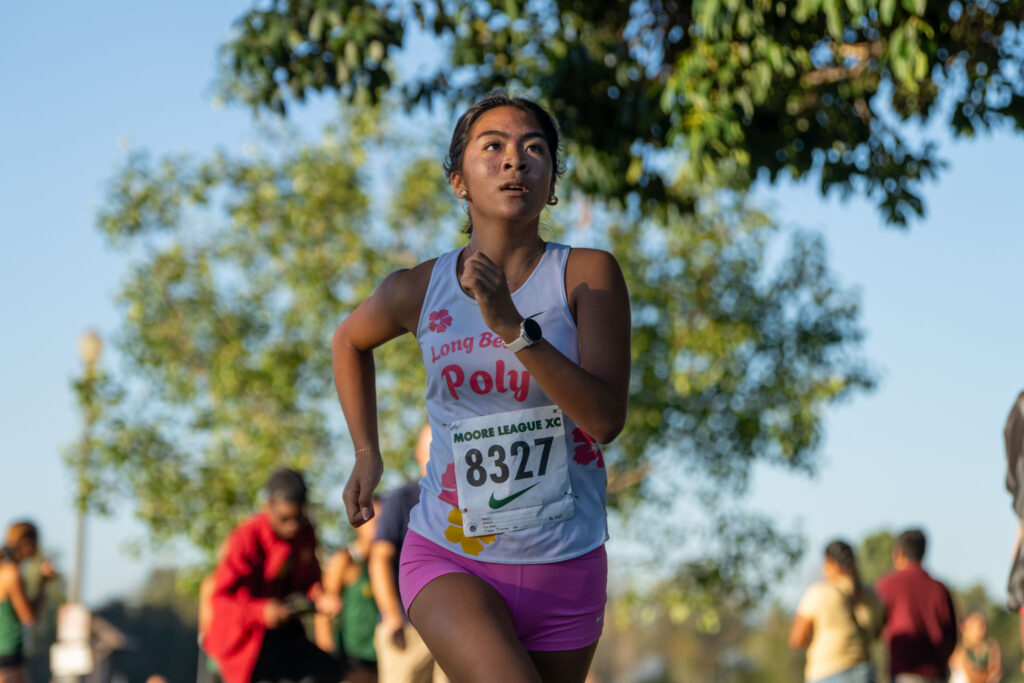 XC moore league