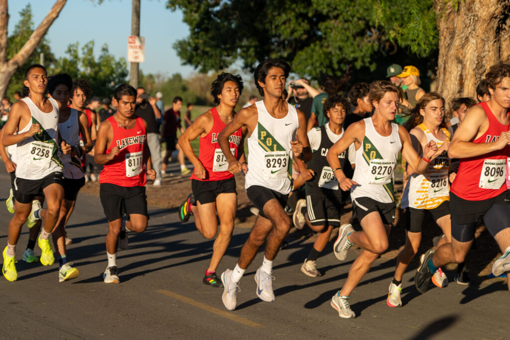 XC moore league