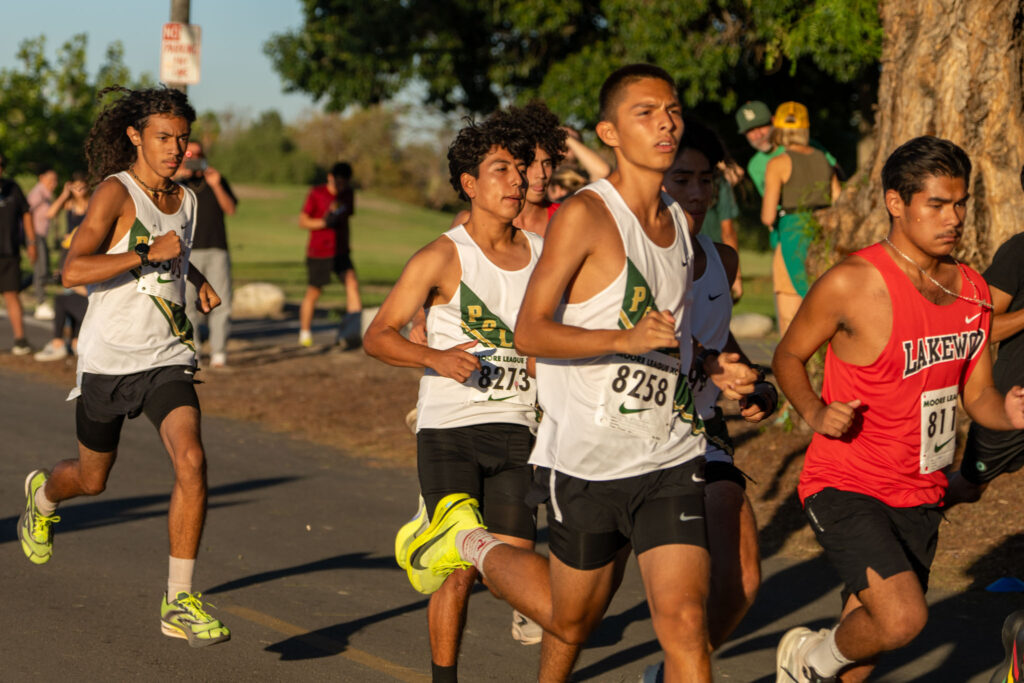 XC moore league