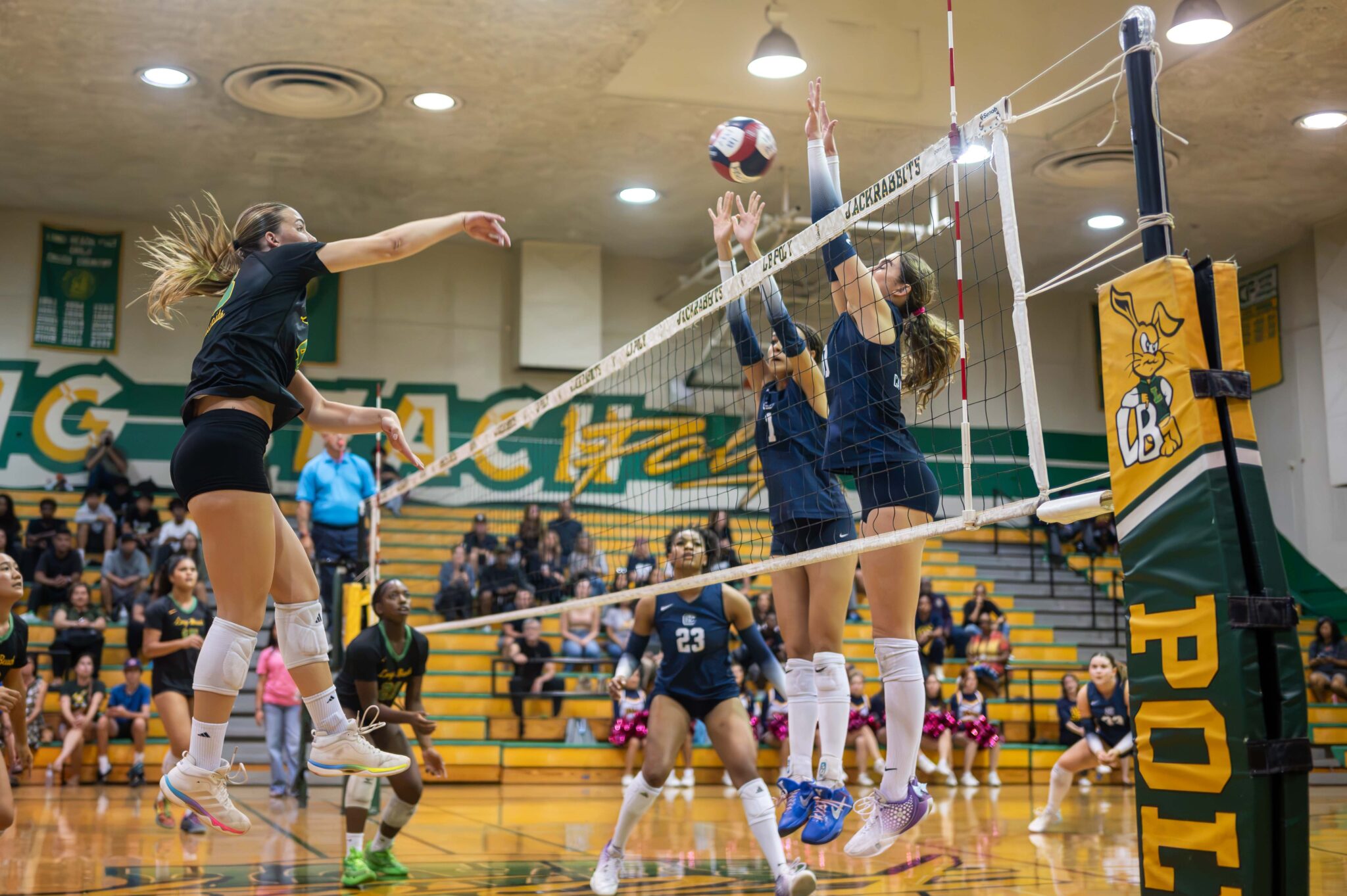 CIF Volleyball: Long Beach Poly Sweeps Past Notre Dame Into Semifinals